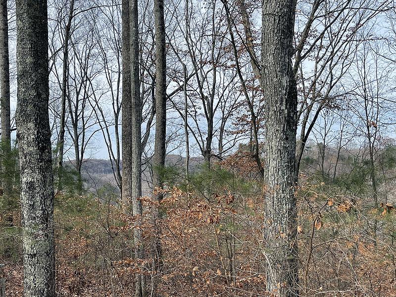 Lot 84 Stillwater , Russell Springs, Kentucky 42642, Estados Unidos