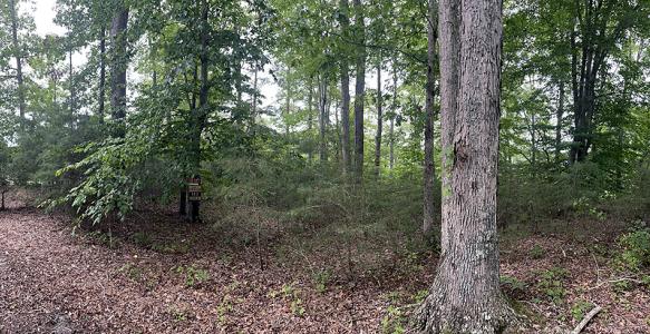 Lot 84 Stillwater , Russell Springs, Kentucky 42642, Estados Unidos