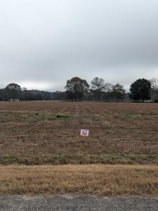 0 County Road 9, Headland, Alabama 36345, USA