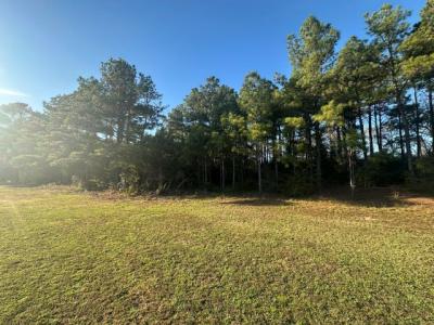 TBD DPS Road, Nacogdoches, Texas 75964