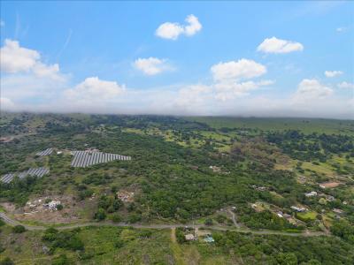 0 Kula Hwy, Kula, 夏威夷 96790, 美國