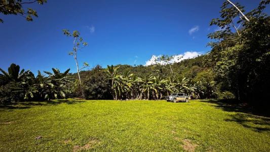 Platanillo Barú Pérez Zeledón, San José 00001, كوستاريكا 