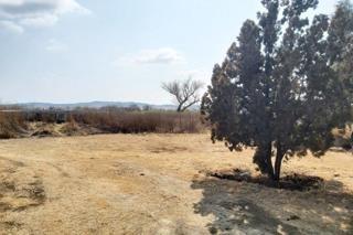 Bloemfontein, Free State, South Africa