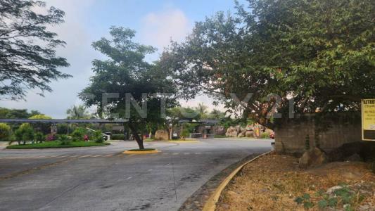 ALTOZANO Jacaranda 88,, Cuauhtemoc, ولاية كوليما 28530, المكسيك