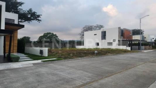 ALTOZANO Jacaranda 88,, Cuauhtemoc, ولاية كوليما 28530, المكسيك