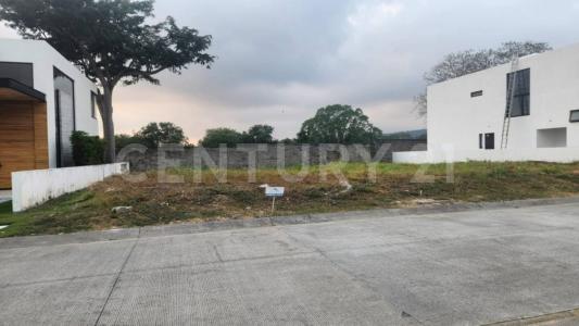 ALTOZANO Jacaranda 88,, Cuauhtemoc, ولاية كوليما 28530, المكسيك