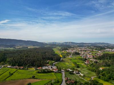 Barcelos, Braga 4750-247, Portugal