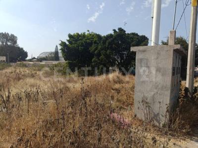 Celaya, 瓜纳华托 38080, 墨西哥