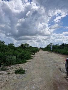 Seye, Yucatan 97575, Mexique