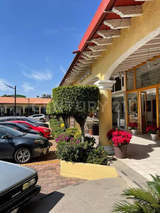 Cuernavaca, Morelos 62179, Mexique