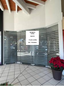 Cuernavaca, Morelos 62179, Mexique