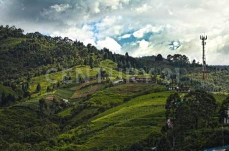 Medellín, Antioquia 050036, Kolombiya