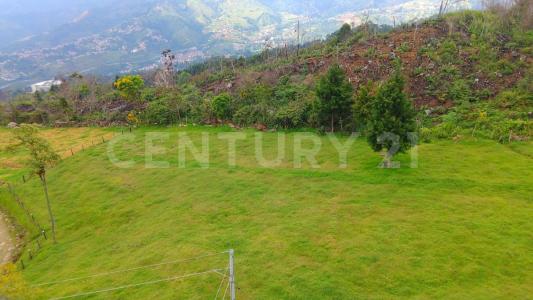 Medellín, Antioquia 050036, Kolombiya