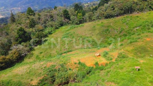 Medellín, Antioquia 050036, Kolombiya