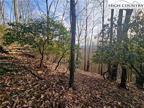 Lot 111 Sunset View Drive, Grassy Creek, NC 28631, USA