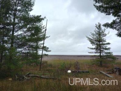 53776 Kuivanen, Lake Linden, Michigan 49945