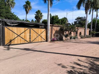 Nieves Juarez entre bordo del canal y calle oscar monzon molina,, Ahome, Sinaloa 81367, Mexico