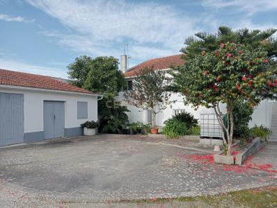 Ourém, سانتاريم 2490-060, البرتغال