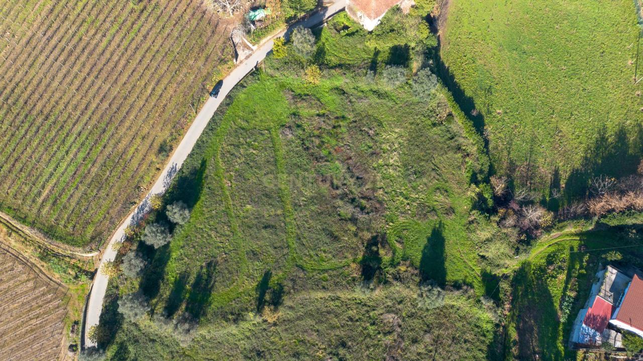 Celorico De Basto, Braga 4690-145, Portugal