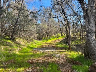 Highlands Boulevard, Oroville, California 95965