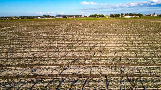 Palmela, Setúbal 2965-291, Portugal