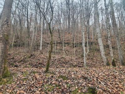 00 Stumbo Subdivision, Prestonsburg, Kentucky 41653, USA