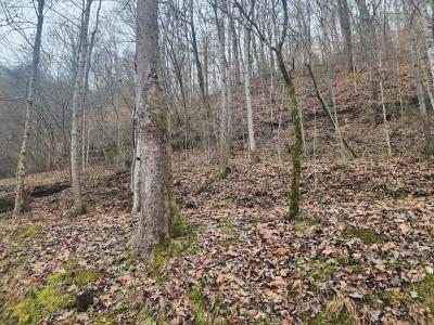 00 Stumbo Subdivision, Prestonsburg, Kentucky 41653, États-Unis