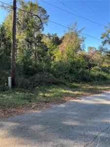 CR 690, Webster, Florida 33597, Estados Unidos