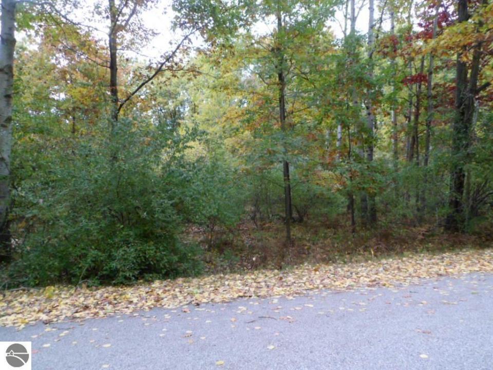 1013 & 1015 Granada Drive, Lake Isabella, Michigan 48893, Amerika Birleşik Devletleri