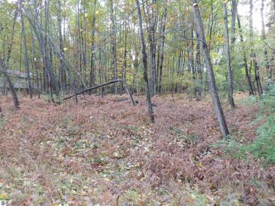 1013 & 1015 Granada Drive, Lake Isabella, Michigan 48893, USA