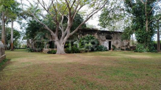 13 121,, Conkal, Yucatan 97345, Mexique