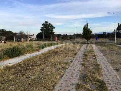 Villa de Guadalupe Fracción 7 S/N,, Amealco De Bonfil, Querétaro 76870, México