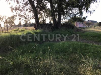 Villa de Guadalupe Resto del Predio S/N,, Amealco De Bonfil, Querétaro 76870, México