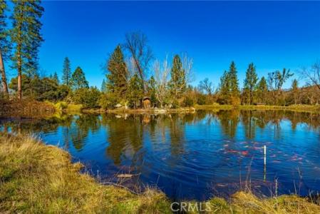 Wortham Rd, Oakhurst, كاليفورنيا 93644, الولايات المتحدة