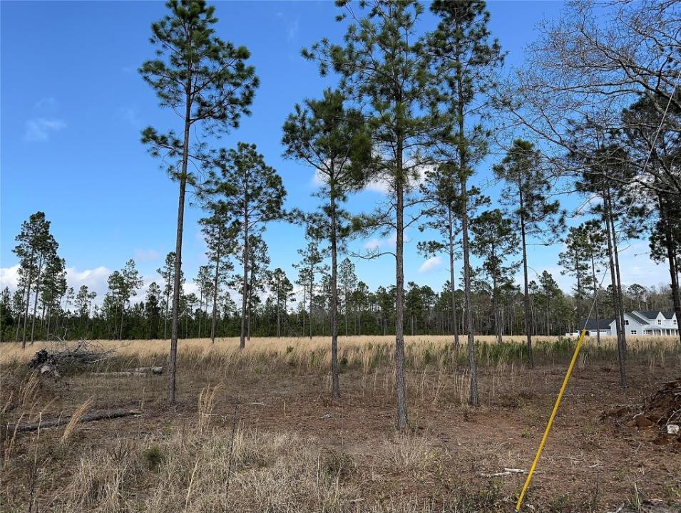 15538 County Road 108, Hilliard, Florida 32046, Estados Unidos