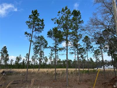 15538 County Road 108, Hilliard, Florida 32046, Estados Unidos