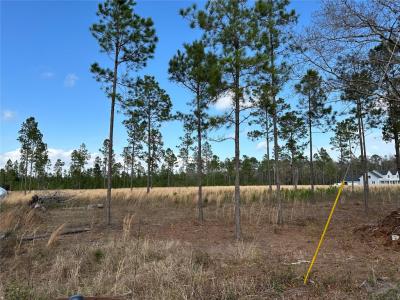 15538 County Road 108, Hilliard, Florida 32046, Estados Unidos