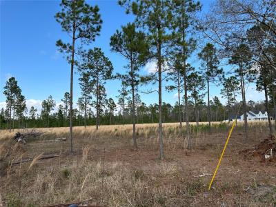 15538 County Road 108, Hilliard, Florida 32046, Estados Unidos
