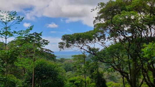 Portalon , Portalon Quepos Quepos, Puntarenas 60504, Costa Rica