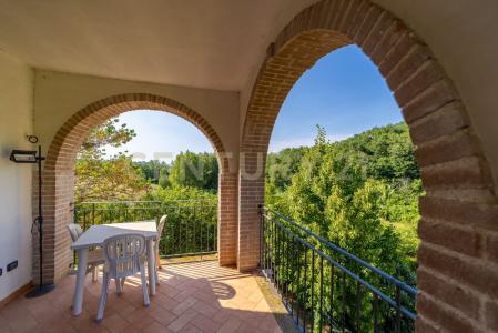 localtà poderi di montemerano, Manciano, Toscana 58014, 이탈리아