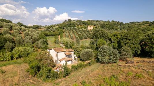 localtà poderi di montemerano, Manciano, Toscana 58014, 이탈리아