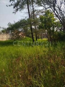 Jilguero 853,, Tlaquepaque, Халиско 45591, Мексика