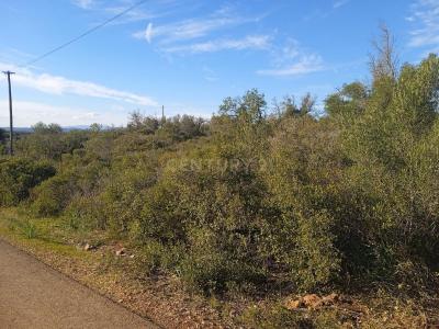 Silves, Faro 8376-909, Portugal