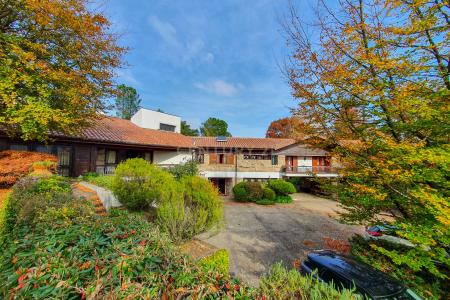 Guimarães, Braga 4815-011, Portekiz