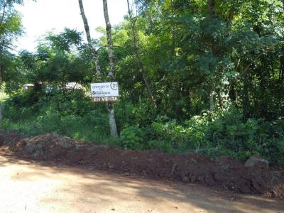 Colonia Tacuari , Capitán Miranda, Itapúa 00001, Paraguay