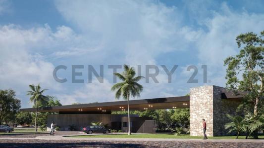 Altos , Altos, Cordillera 00001, Paraguay