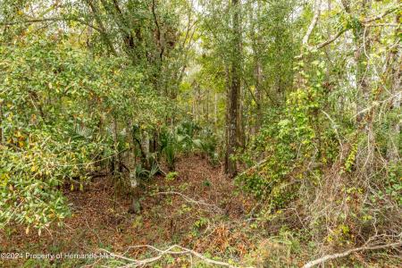 0 Lake Lindsay Tract 2 Road, Brooksville, 佛羅里達州 34601, 美國