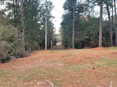 4959 Hwy 111N, Pelham, Georgia 31779, HOA KỲ