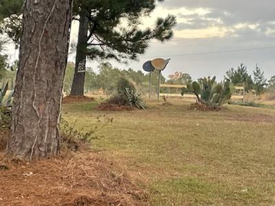 4959 Hwy 111N, Pelham, Georgia 31779, HOA KỲ