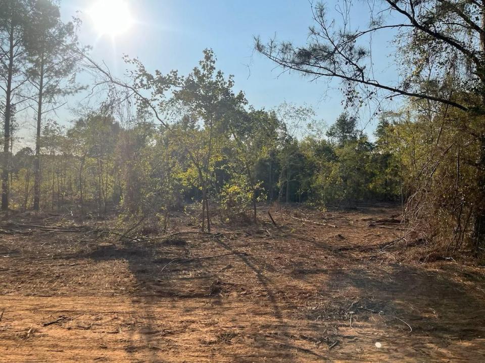 5 Lake Road, Plain Dealing, ルイジアナ 71064, アメリカ合衆国